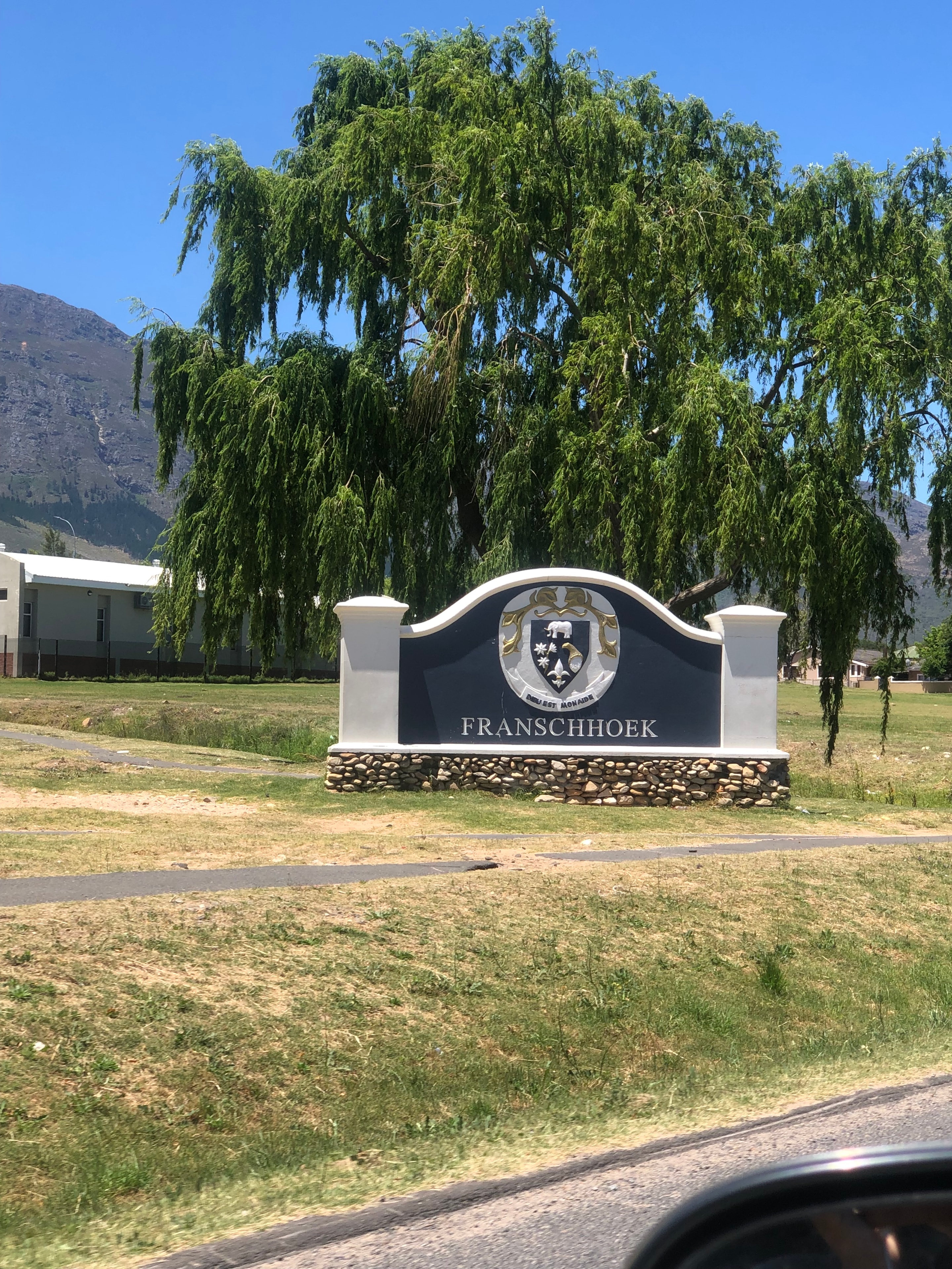 Kirstenbosch Botanical Gardens with mountain backdrop